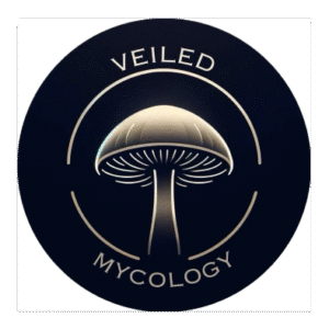 Veiled Mycology logo