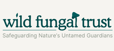 wordmark